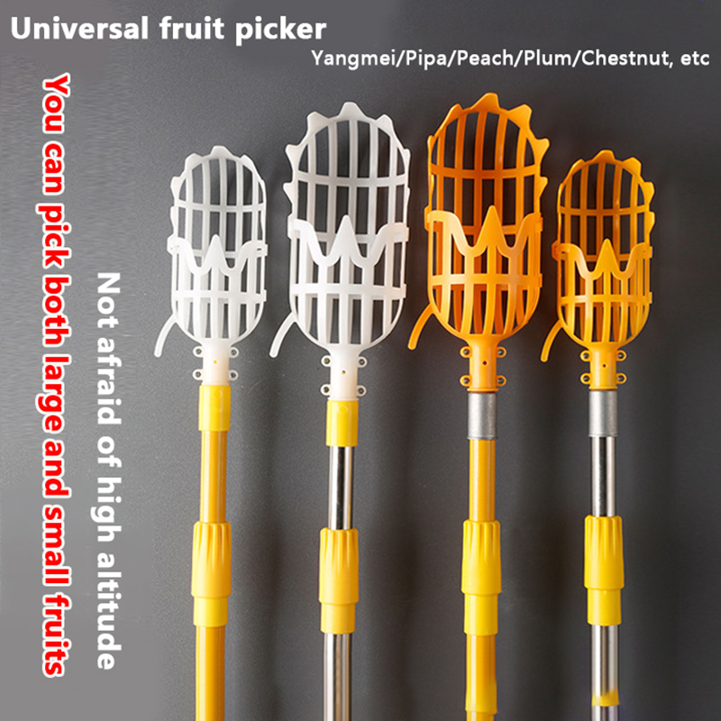 Gardening Tools Rack - Memilih Loquat memilih alat Bayberry keranjang