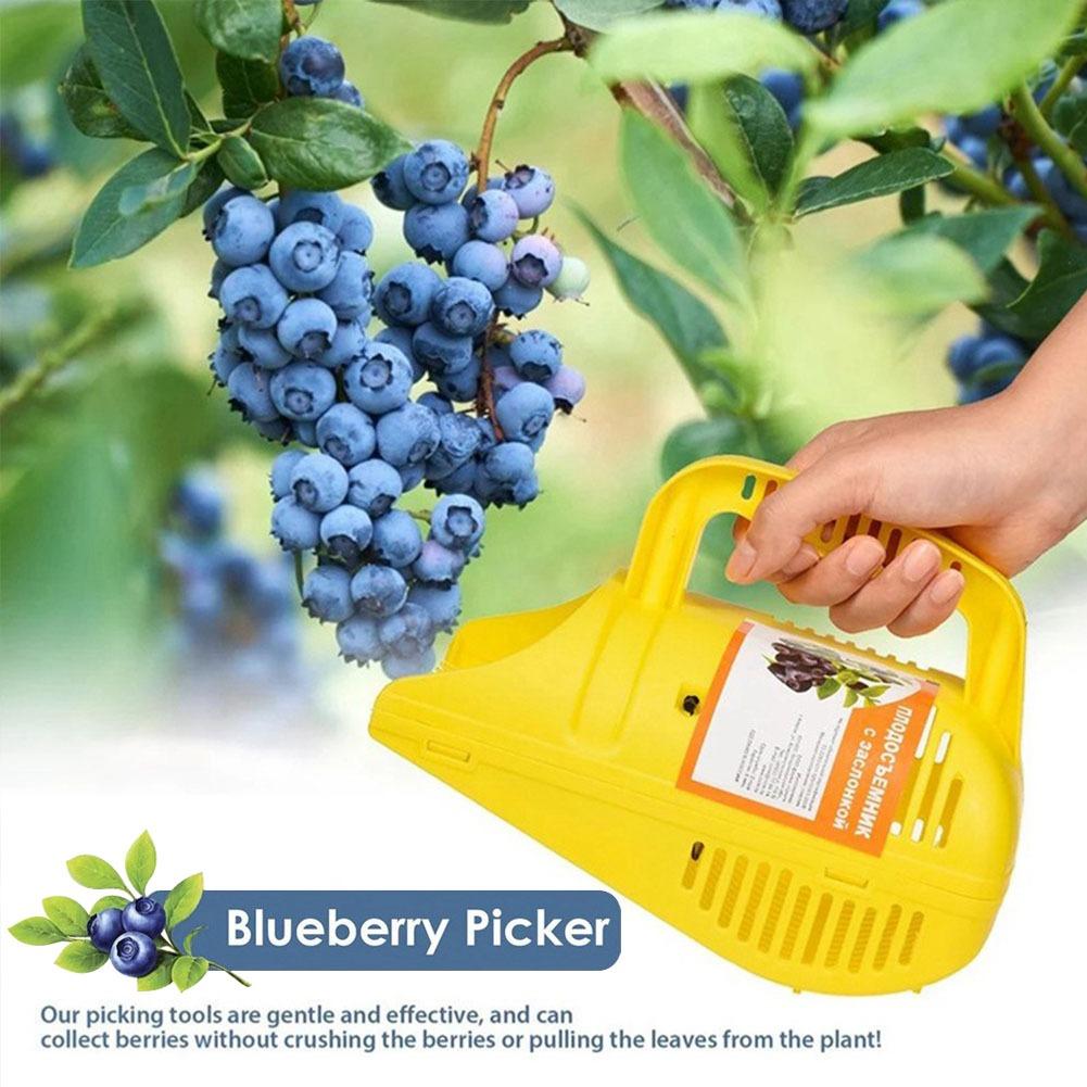 Gardening Tools You Must Have - Alat Pemetik Blueberry Easy-Grip dengan Gigi
