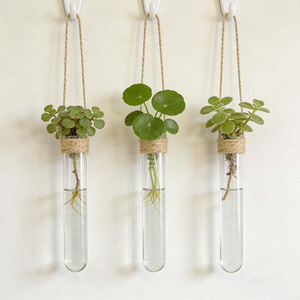 Hanging Planter Basket - Vas Bunga Hidroponik Vas Tabung Reaksi
