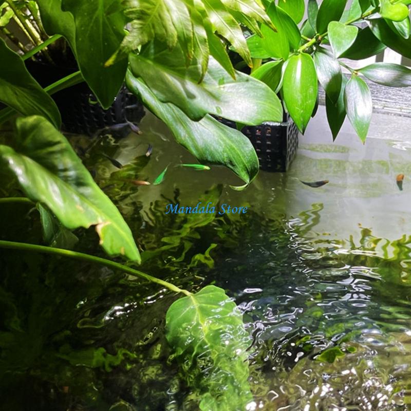 Hanging Planter Basket - U2JC Penanam Dinding Hemat Ruang dengan