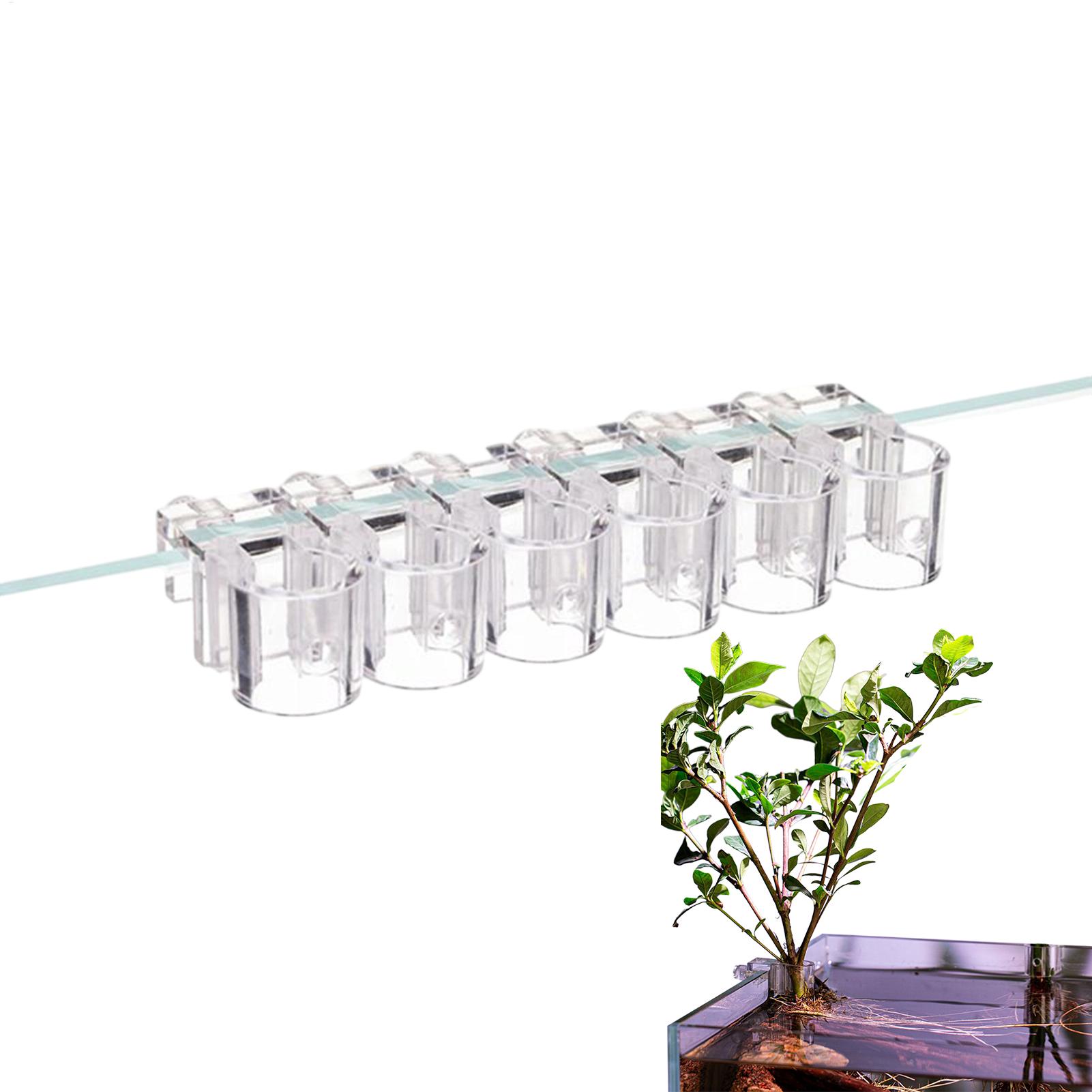 Hanging Planter Basket - Keranjang Tanaman Akuarium Transparan, Dekorasi Gantung