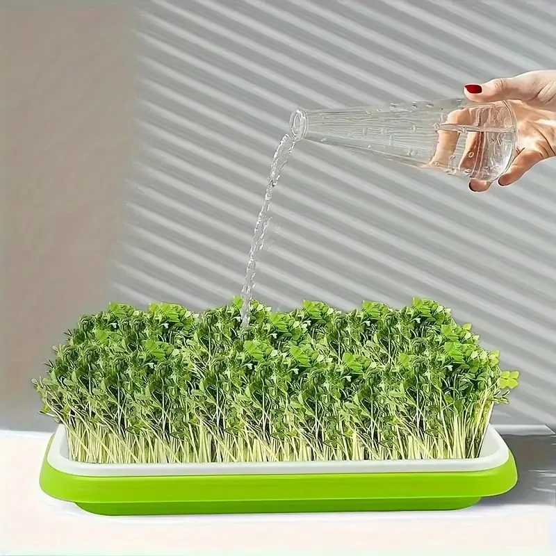 Gardening Tools Vegetables - Baki Semai Model Terbaru, Baki Perkecambahan