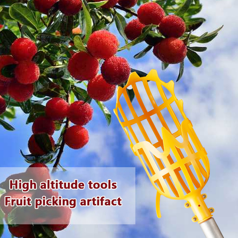 Memilih Loquat memilih alat Ba - Gardening Tools Rack ulasan dan harga