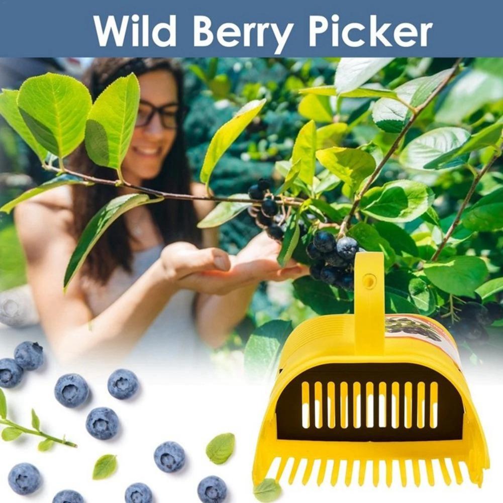 Alat Pemetik Blueberry Easy-Gr - Gardening Tools You Must Have ulasan dan harga
