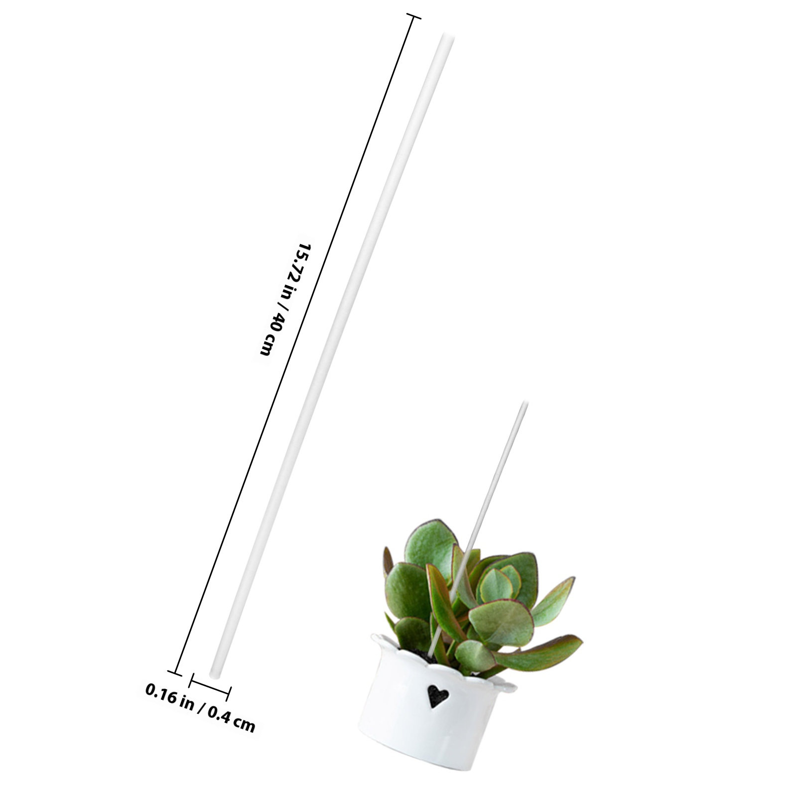 1 Set Penyangga Tanaman Akrili - Gardening Tools Required ulasan dan harga