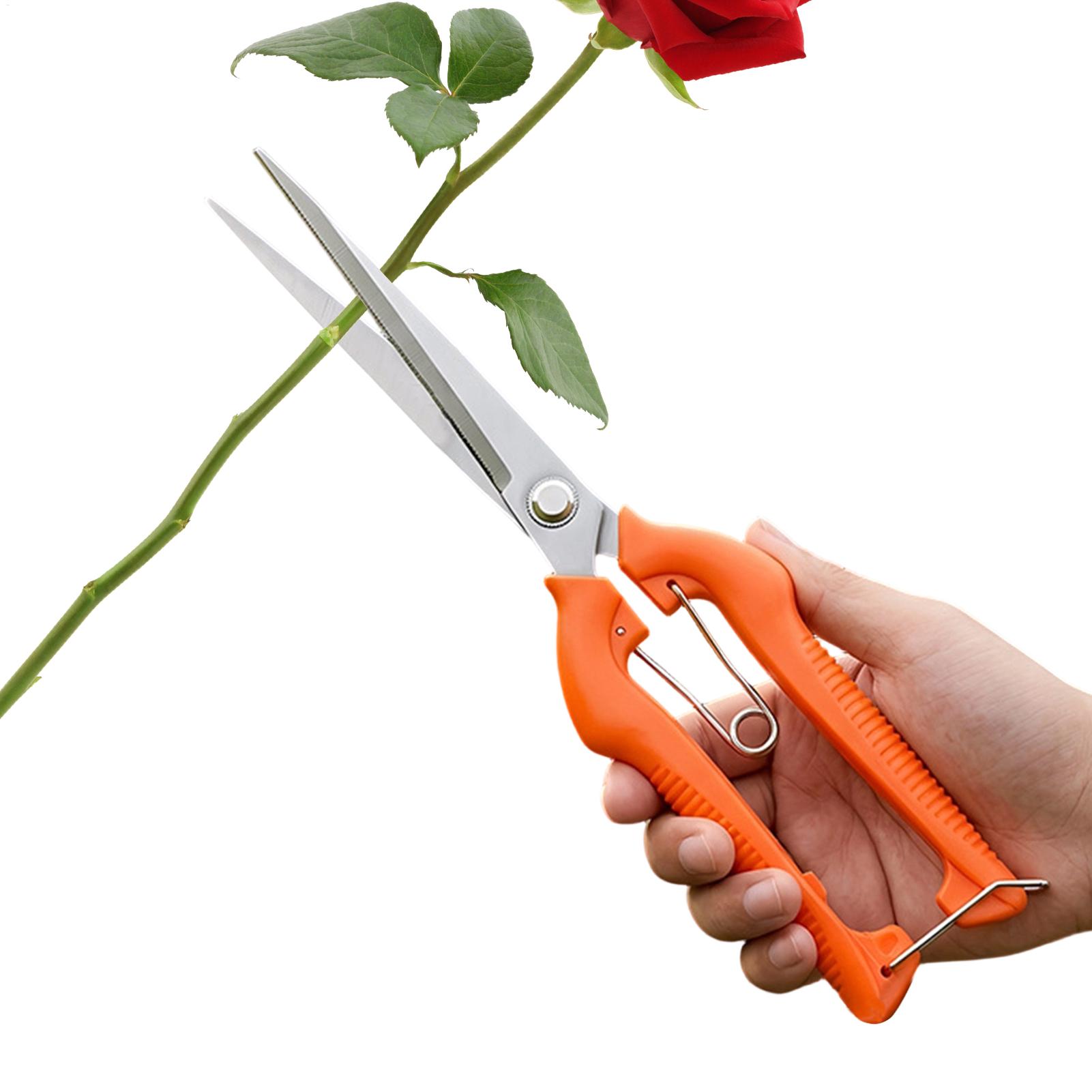 Gunting Pangkas Anggur Gunting - Gardening Tools Women ulasan dan harga