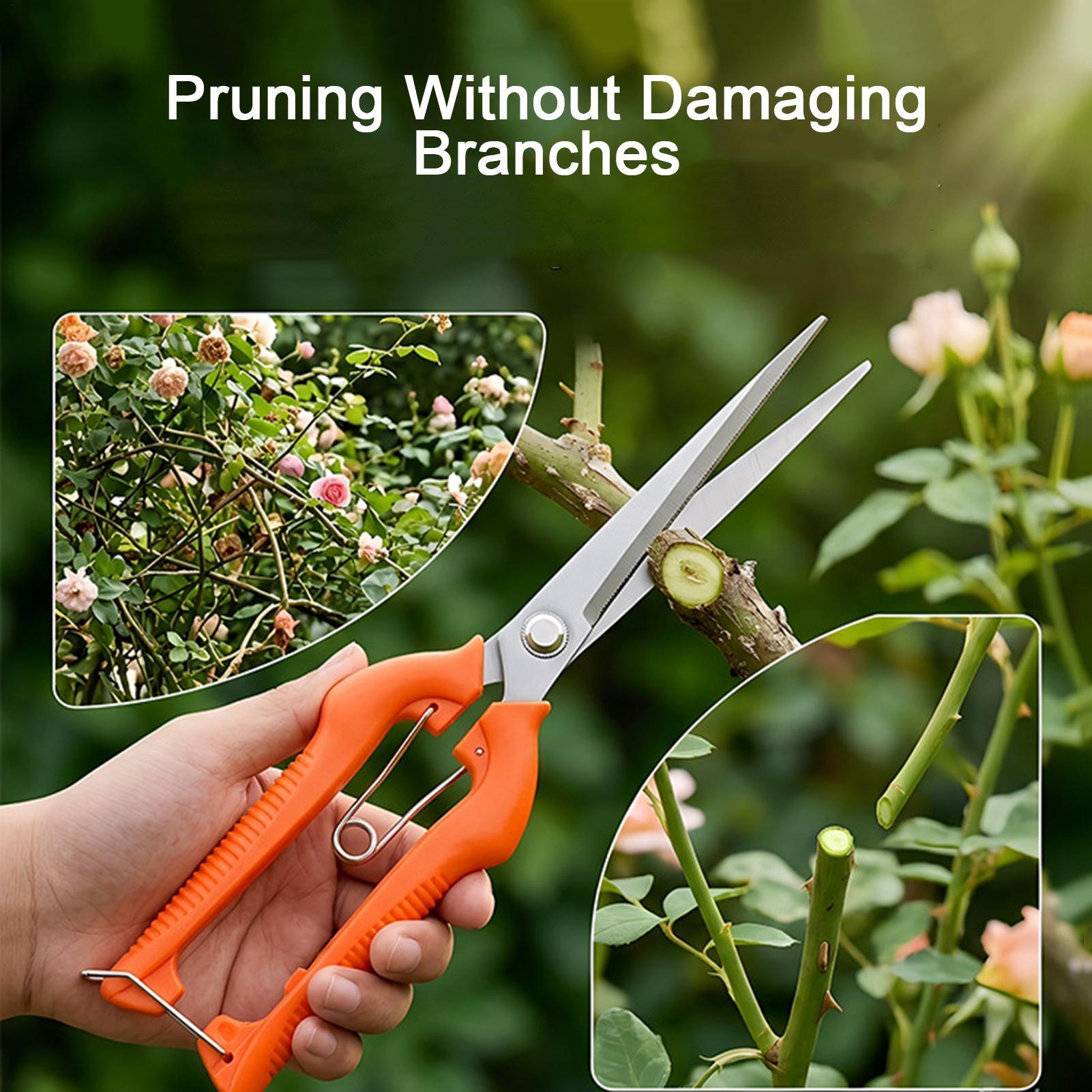 Gunting Pangkas Anggur Gunting - Gardening Tools Women ulasan dan harga