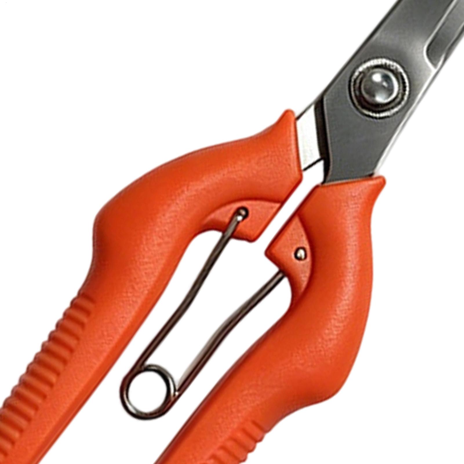 Gunting Pangkas Anggur Gunting - Gardening Tools Women ulasan dan harga