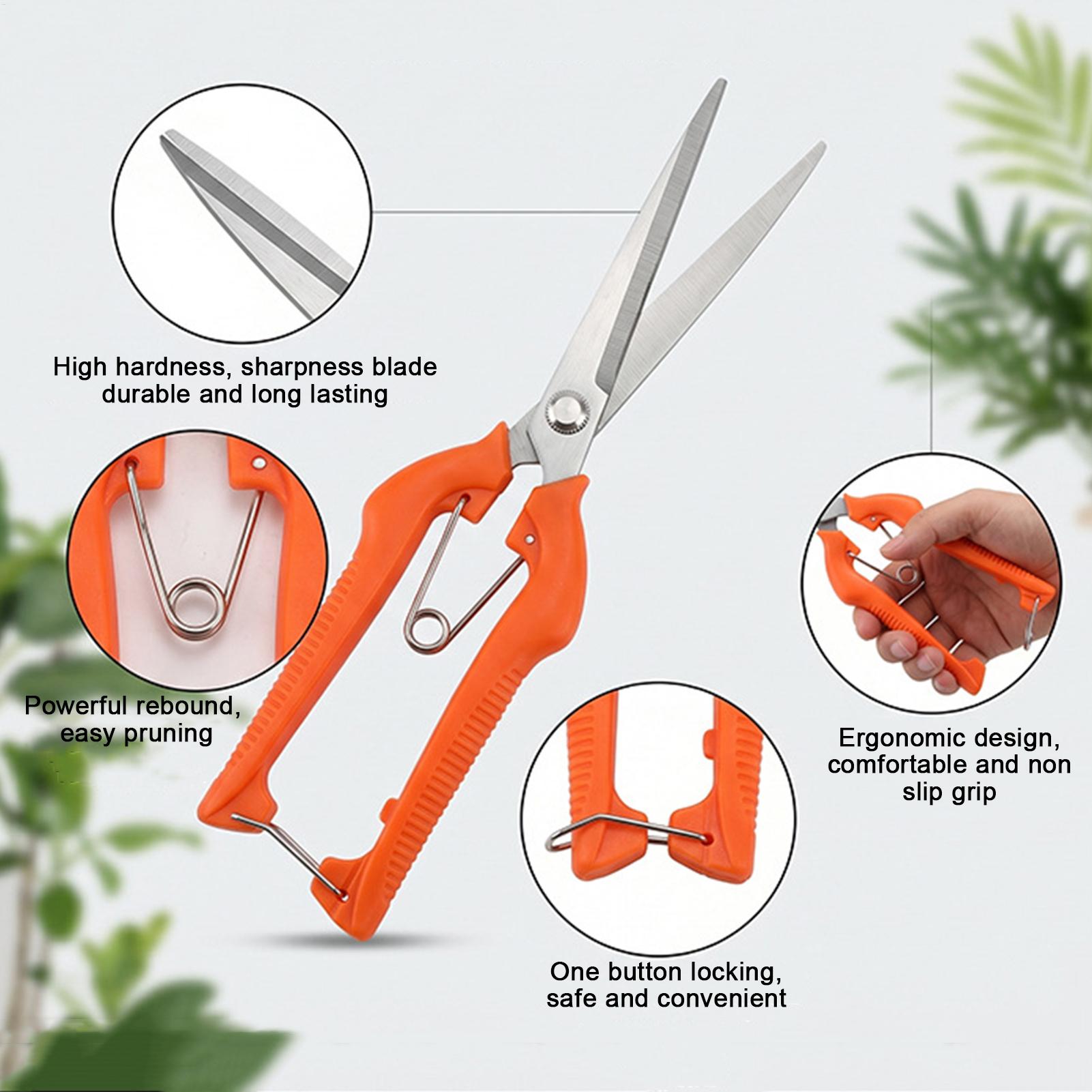 Gunting Pangkas Anggur Gunting - Gardening Tools Women ulasan dan harga