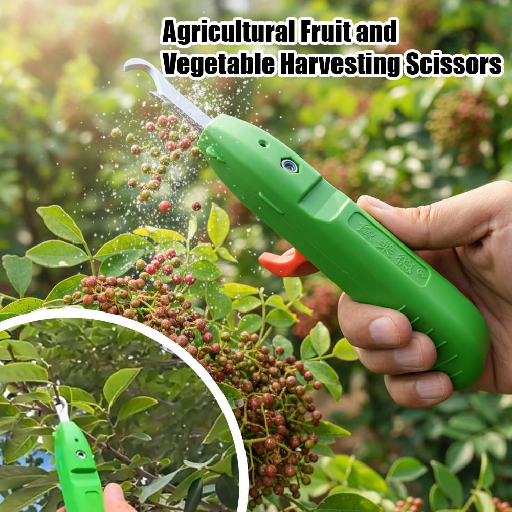Gunting Pemetik Buah dan Sayur - Gardening Tools Vegetables ulasan dan harga