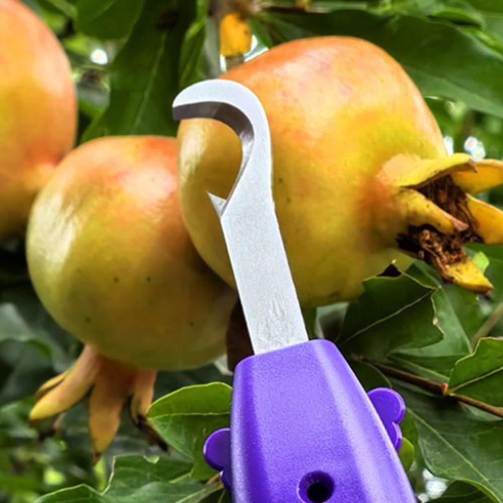 Alat Pemangkasan dan Pemetik B - Gardening Tools Vegetables ulasan dan harga