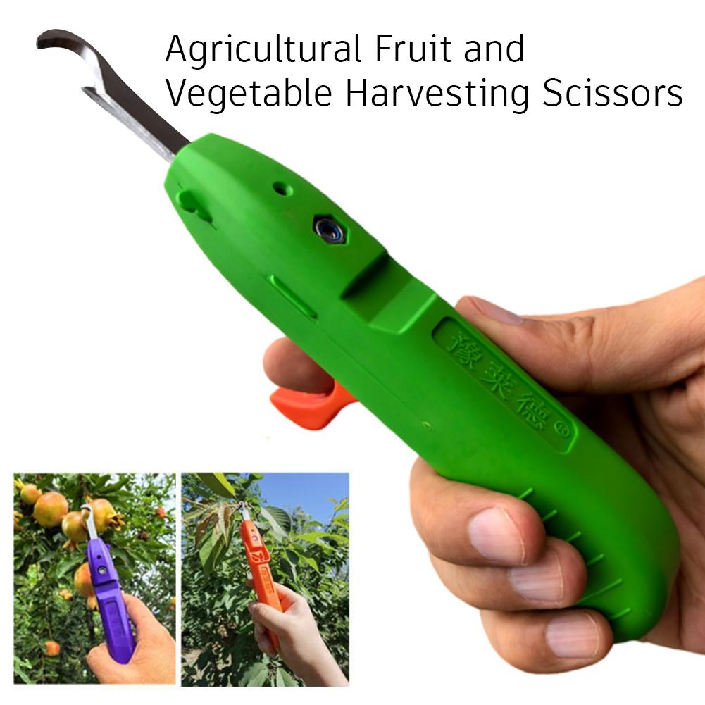 Alat Pemangkasan dan Pemetik B - Gardening Tools Vegetables ulasan dan harga