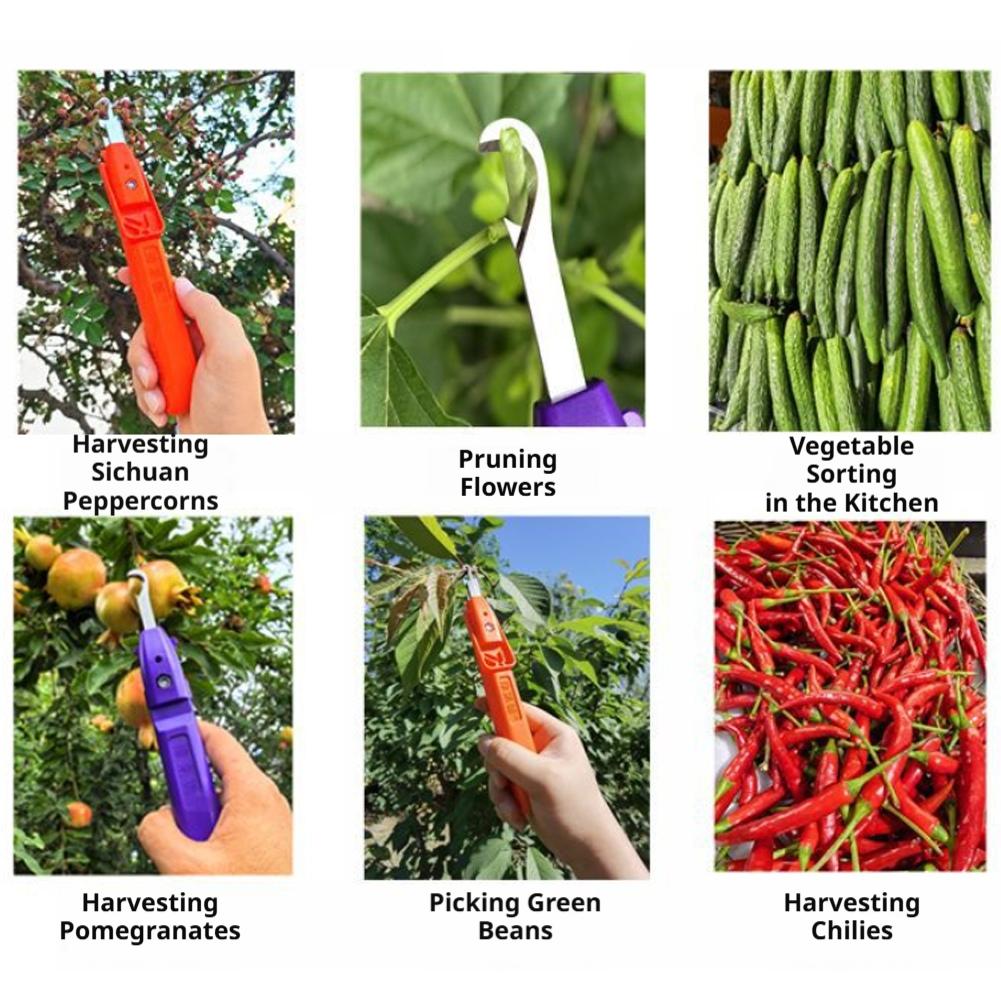 Alat Pemangkasan dan Pemetik B - Gardening Tools Vegetables ulasan dan harga