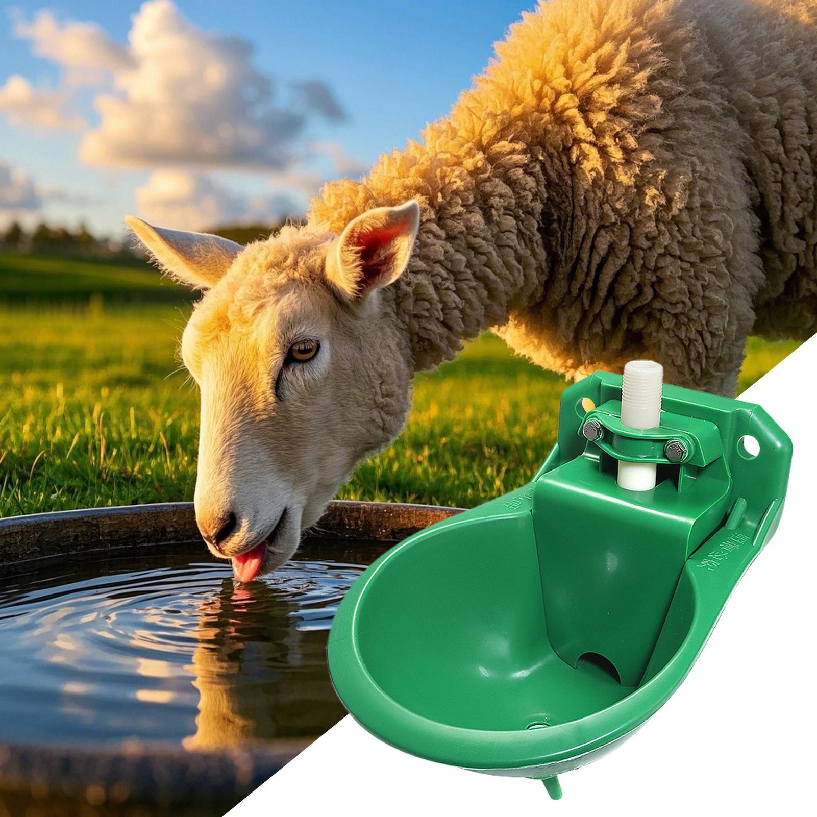 Mangkuk Minum Air untuk Kuda d - Gardening Tools Women ulasan dan harga