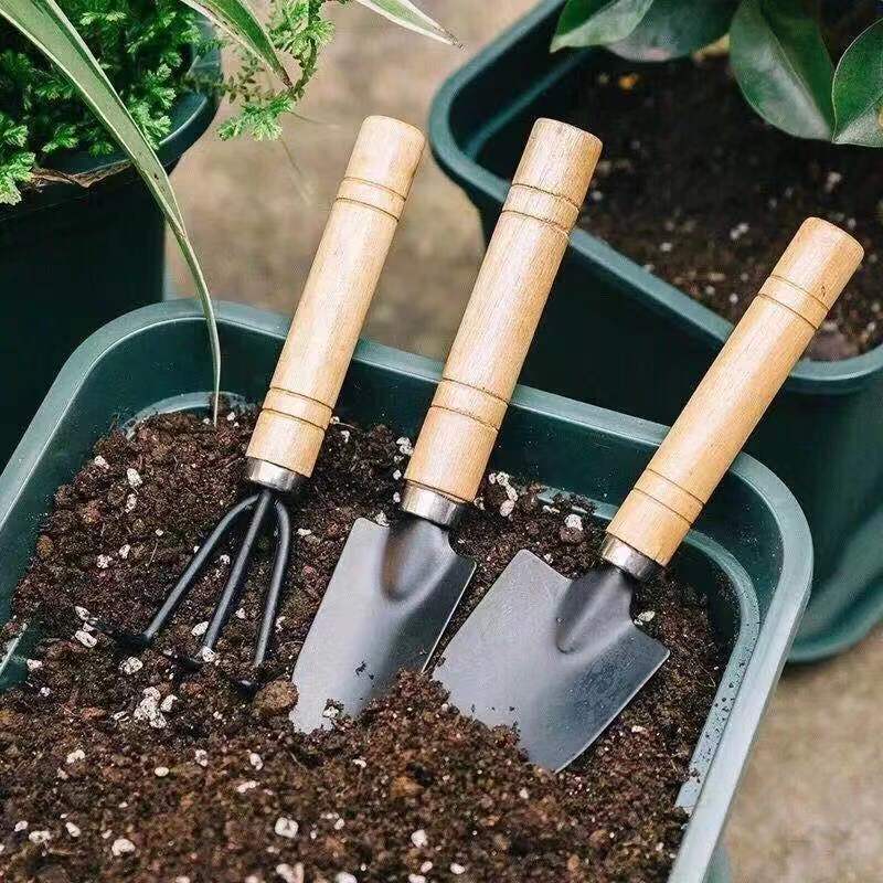 3 Buah/1Set Set Alat Berkebun  - Gardening Tools Spade ulasan dan harga