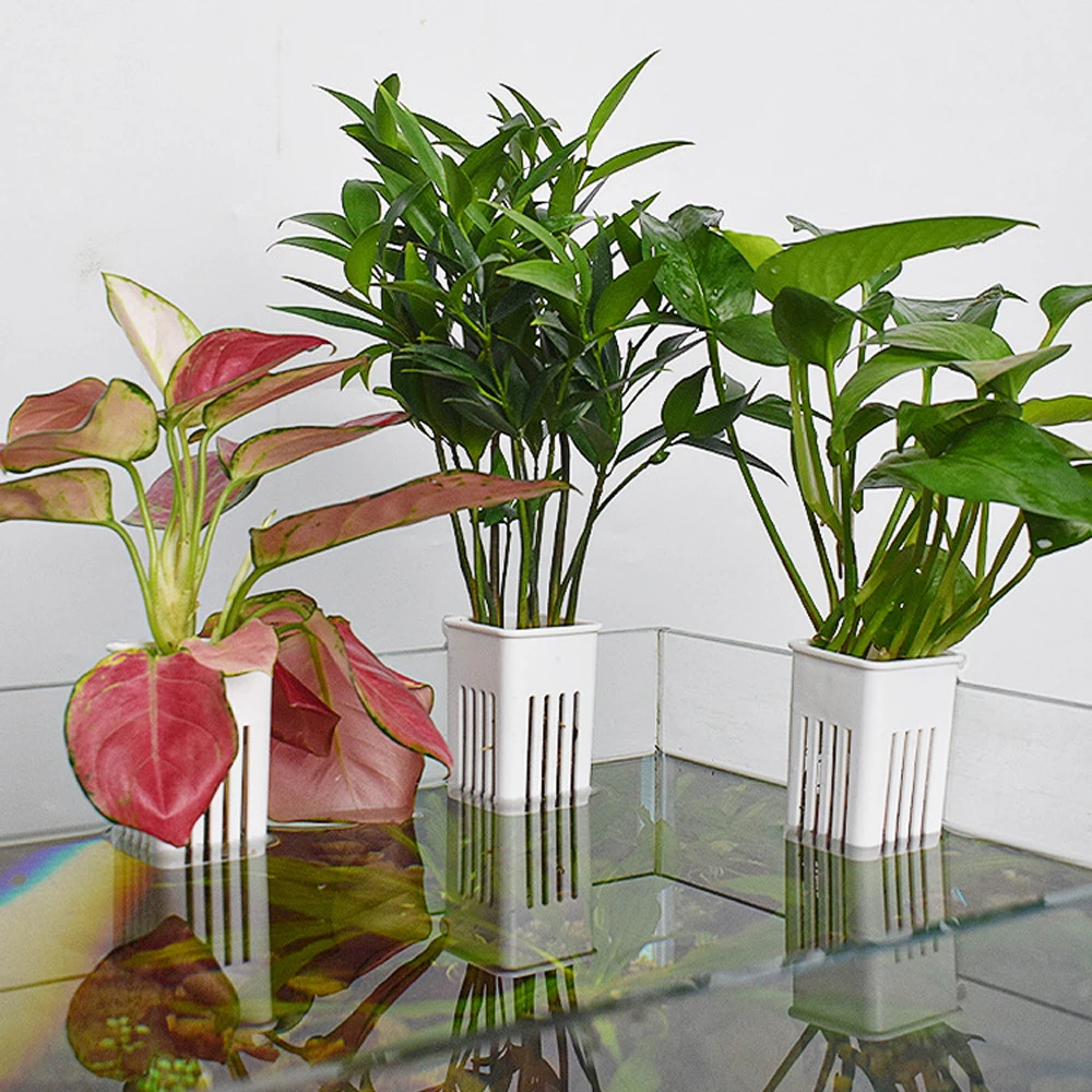 1 Buah Penanam Hidroponik Akua - Hanging Planter Basket ulasan dan harga