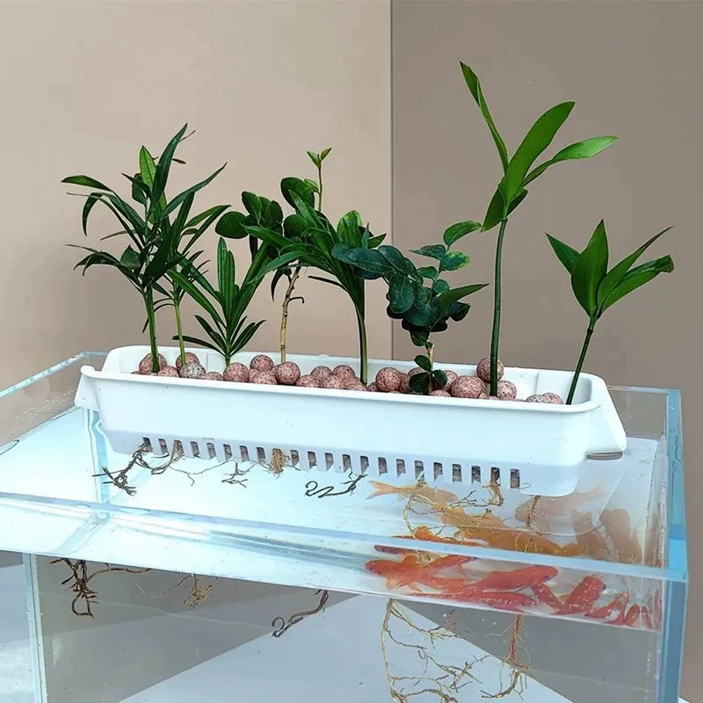 1 Buah Penanam Hidroponik Akua - Hanging Planter Basket ulasan dan harga