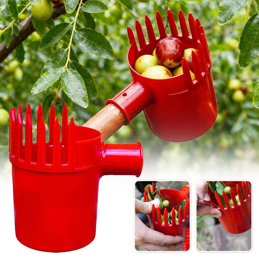 Alat Pemetik Buah Portabel den - Gardening Tools Rack ulasan dan harga