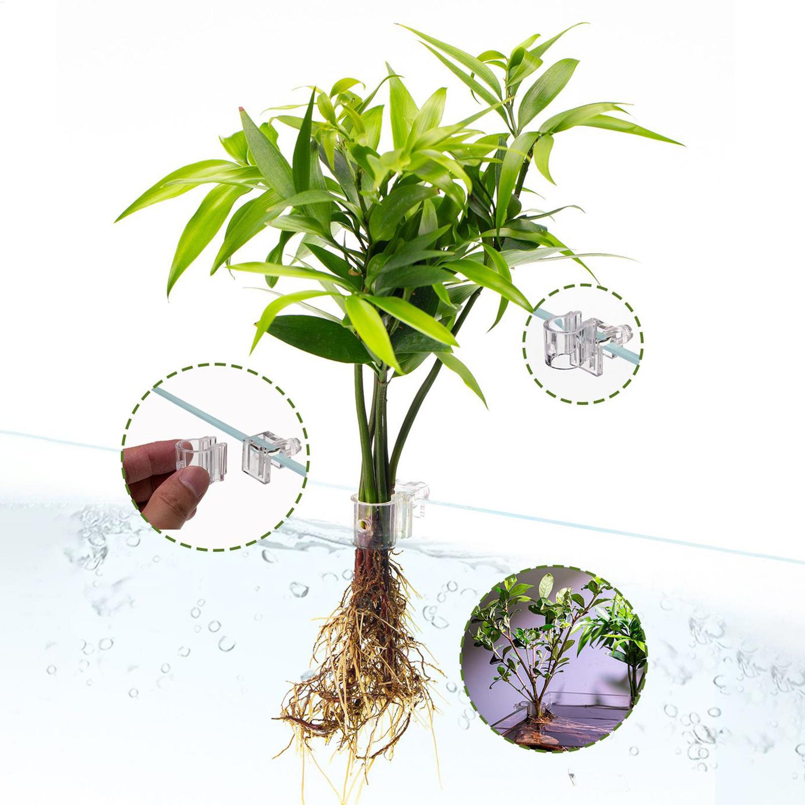 Keranjang Tanaman Akuarium Tra - Hanging Planter Basket ulasan dan harga