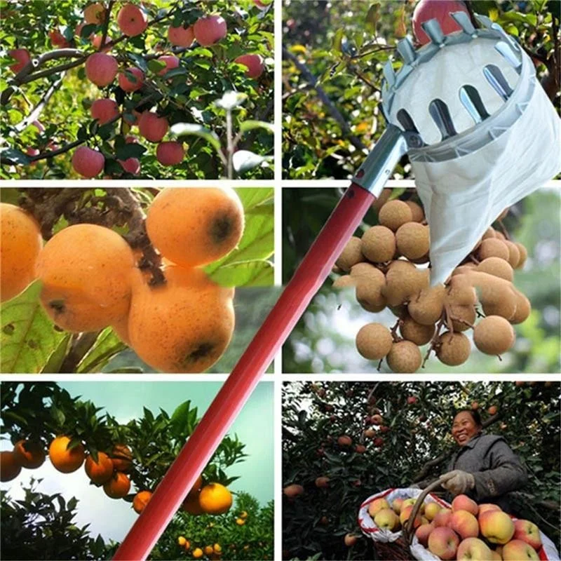 Alat Pemetik Buah Kebun, Kebun - Gardening Tools Bag ulasan dan harga