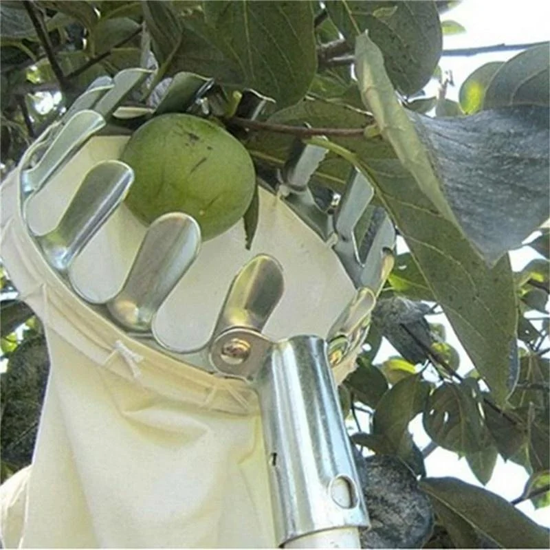 Alat Pemetik Buah Kebun, Kebun - Gardening Tools Bag ulasan dan harga