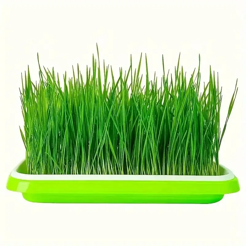 Baki Semai Model Terbaru, Baki - Gardening Tools Vegetables ulasan dan harga