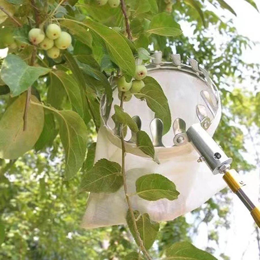 Alat Pemetik Buah Profesional, - Gardening Tools Rack ulasan dan harga