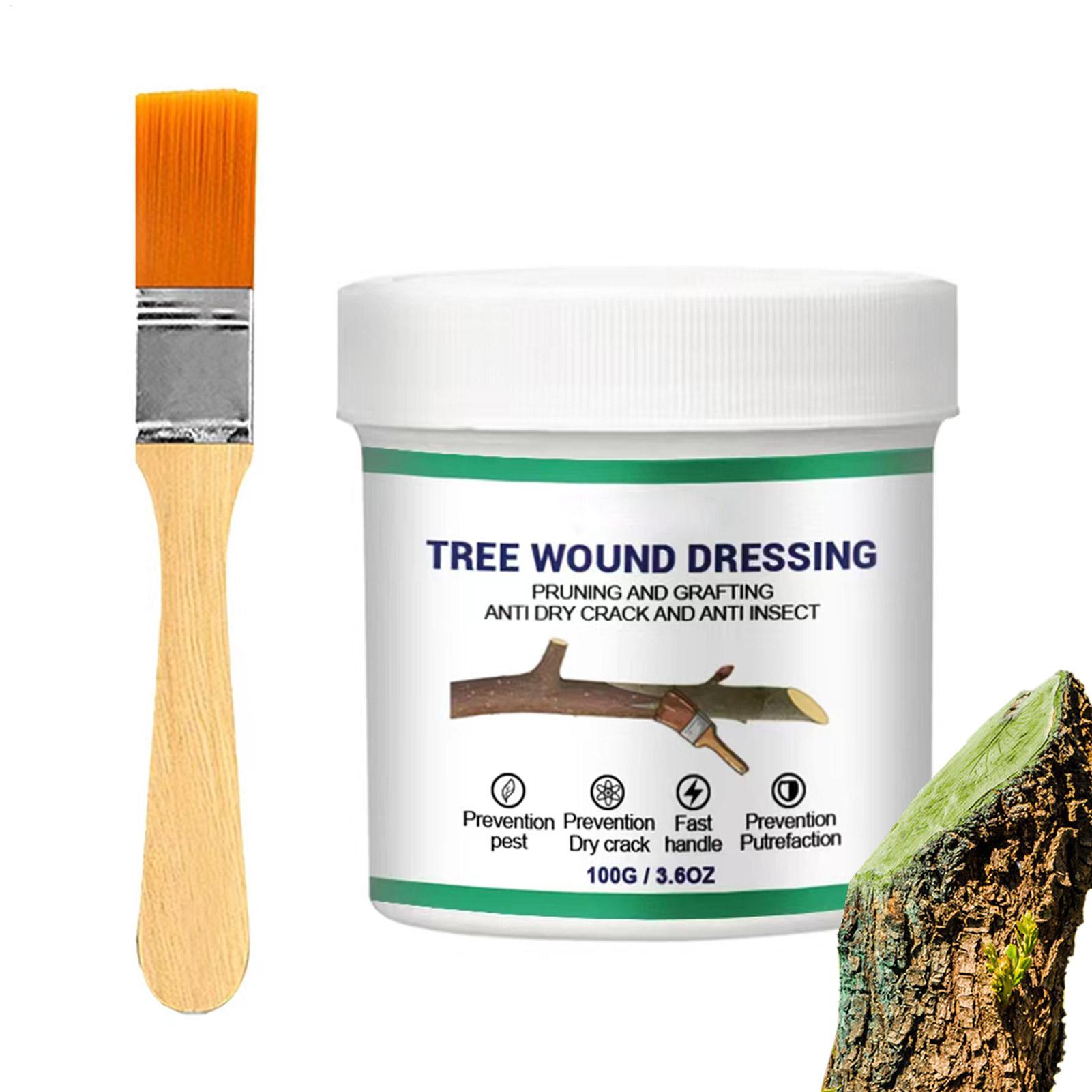 Pasta Penyambung Pohon, Pasta  - Gardening Tools Women ulasan dan harga