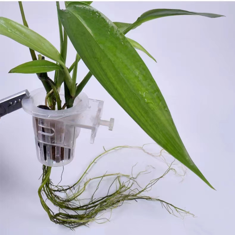 Keranjang penanaman akuarium h - Hanging Planter Basket ulasan dan harga